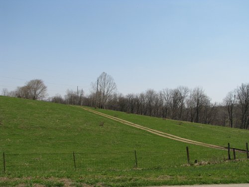 Property photo 14 - 137 Acres in 2 Tracts - 64 Tillable Acres, Potential Building Sites, Hunting